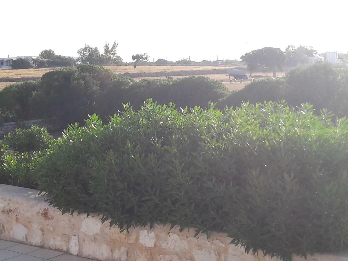 La Maison D'Helene Naoussa Esterno foto